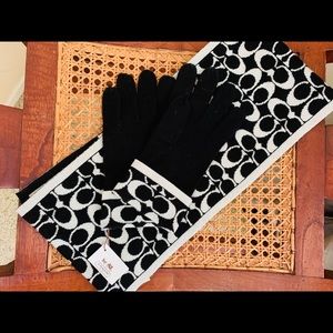 Coach gloves and mittens
